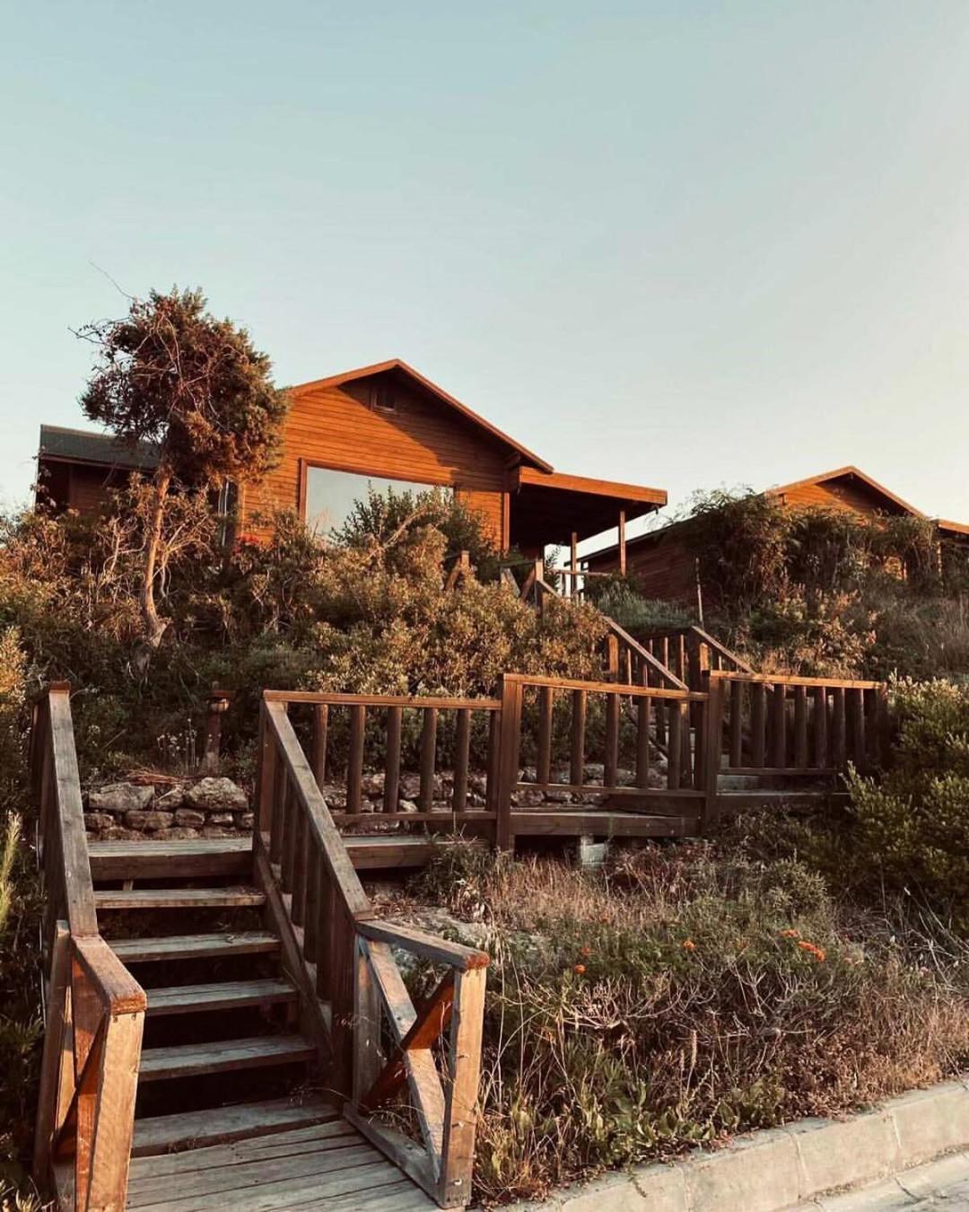 Zambak Holiday Village & Restaurant Superb Seafront Location ! Agios Georgios  Екстериор снимка